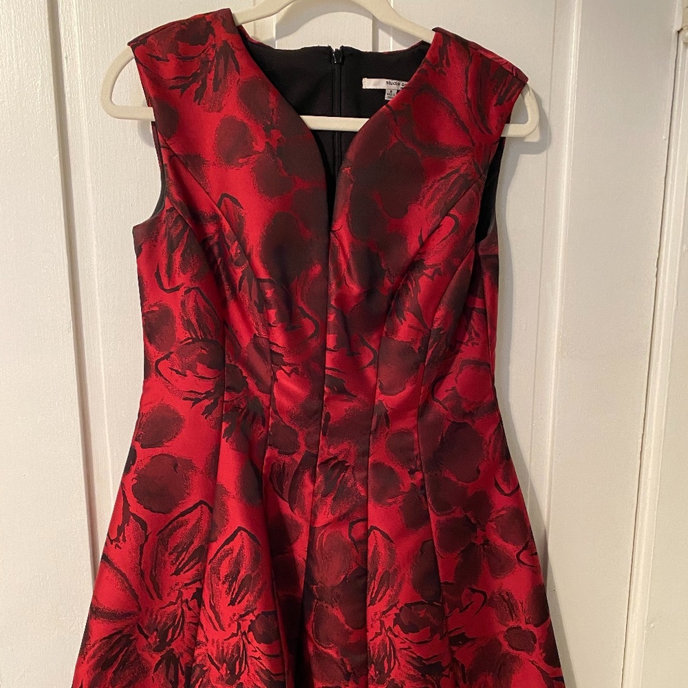 Formal/Wedding guest dress